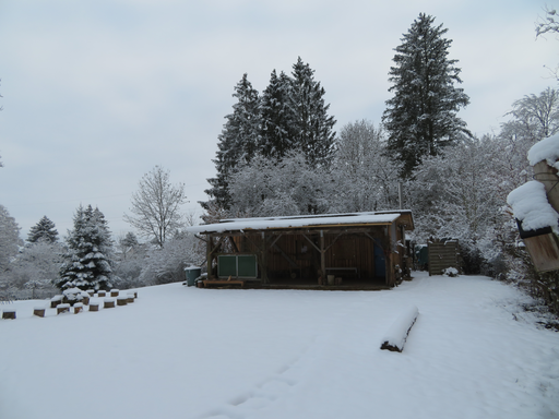 Das Gelände des Waldkindergartens.