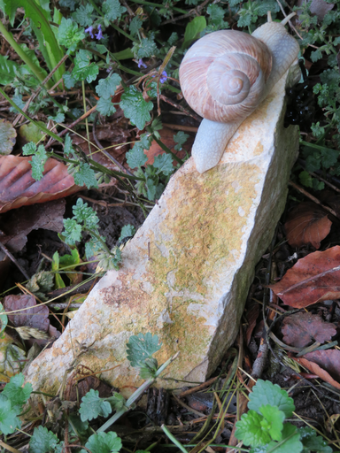 Das Gelände des Waldkindergartens.