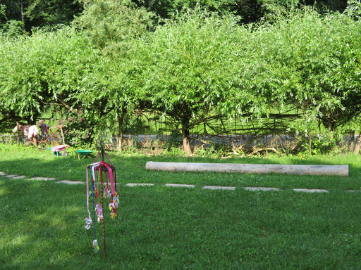 Das Gelände des Waldkindergartens.